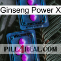 Ginseng Power X 03